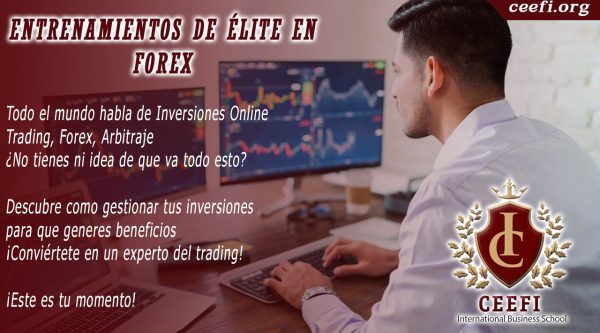 Curso avanzado de trading Entrenamientos de Elite en Forex de Isabel Nogales