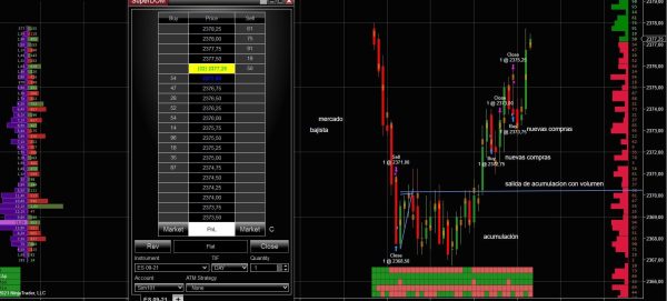 Curso CEEFI INTERNATIONAL trading con Order flow Market profille y DOM