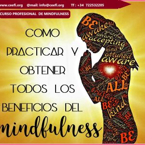Curso profesional de Mindfulness CEEFI INTERNATIONAL BUSINESS SCHOOL
