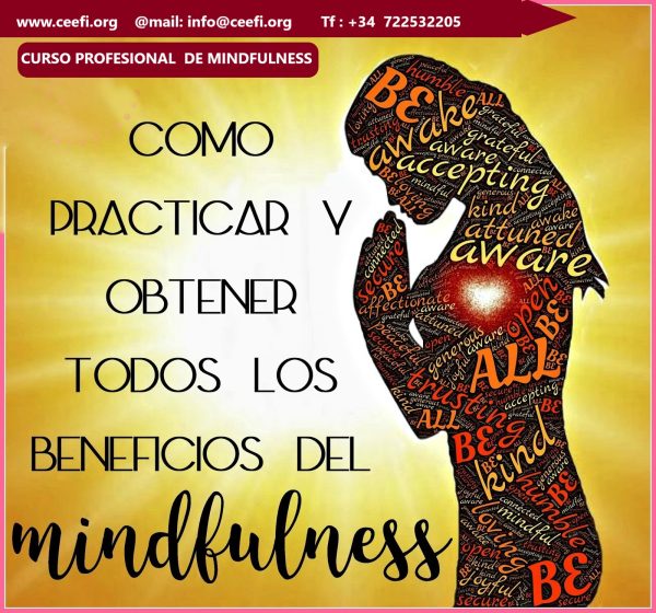 Curso-profesional-de-Mindfulness-CEEFI-INTERNATIONAL-BUSINESS-SCHOOL