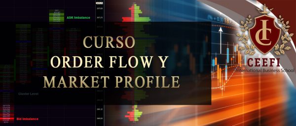 Curso de Order Flow y Market Profille de CEEFI INTERNATIONAL