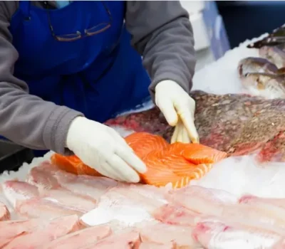 curso-PESCADERIA-Y-ELABORACION-DE-PRODUCTOS-DE-LA-PESCA-Y-ACUICULTURA-ceefi-international