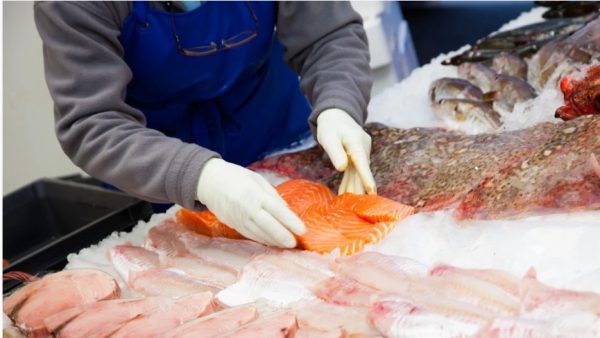 Curso PESCADERÍA Y ELABORACIÓN DE PRODUCTOS DE LA PESCA Y ACUICULTURA Ceefi International